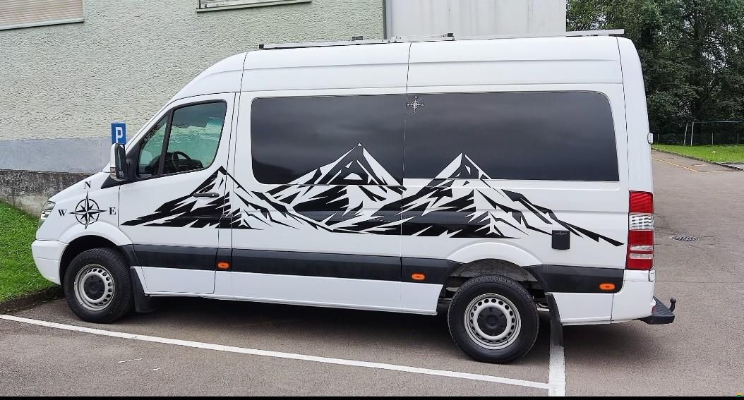 313cdi Sprinter