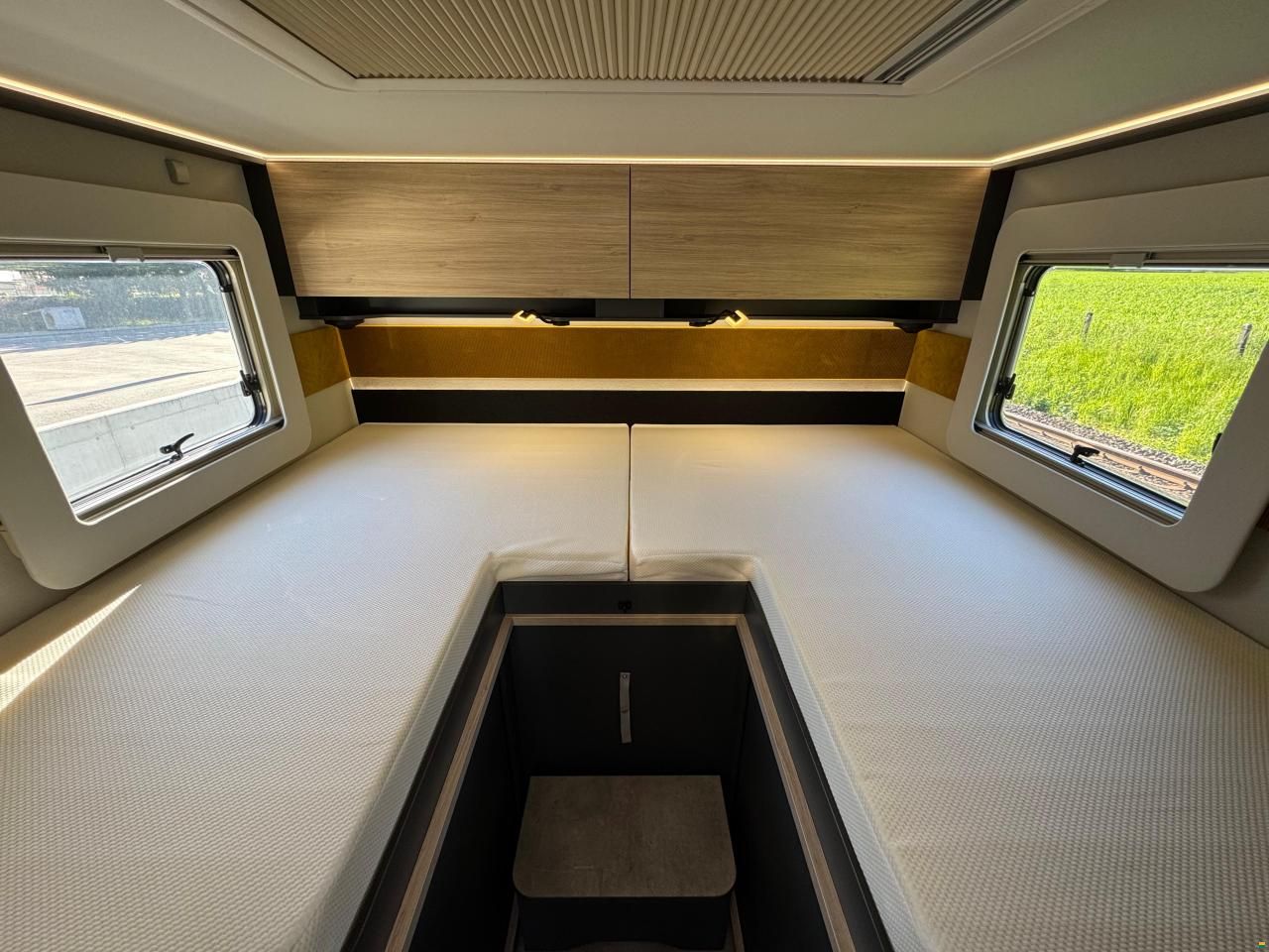 Frankia Now 7.0 L SUN