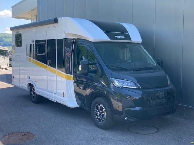 Frankia Now 7.0 L SUN