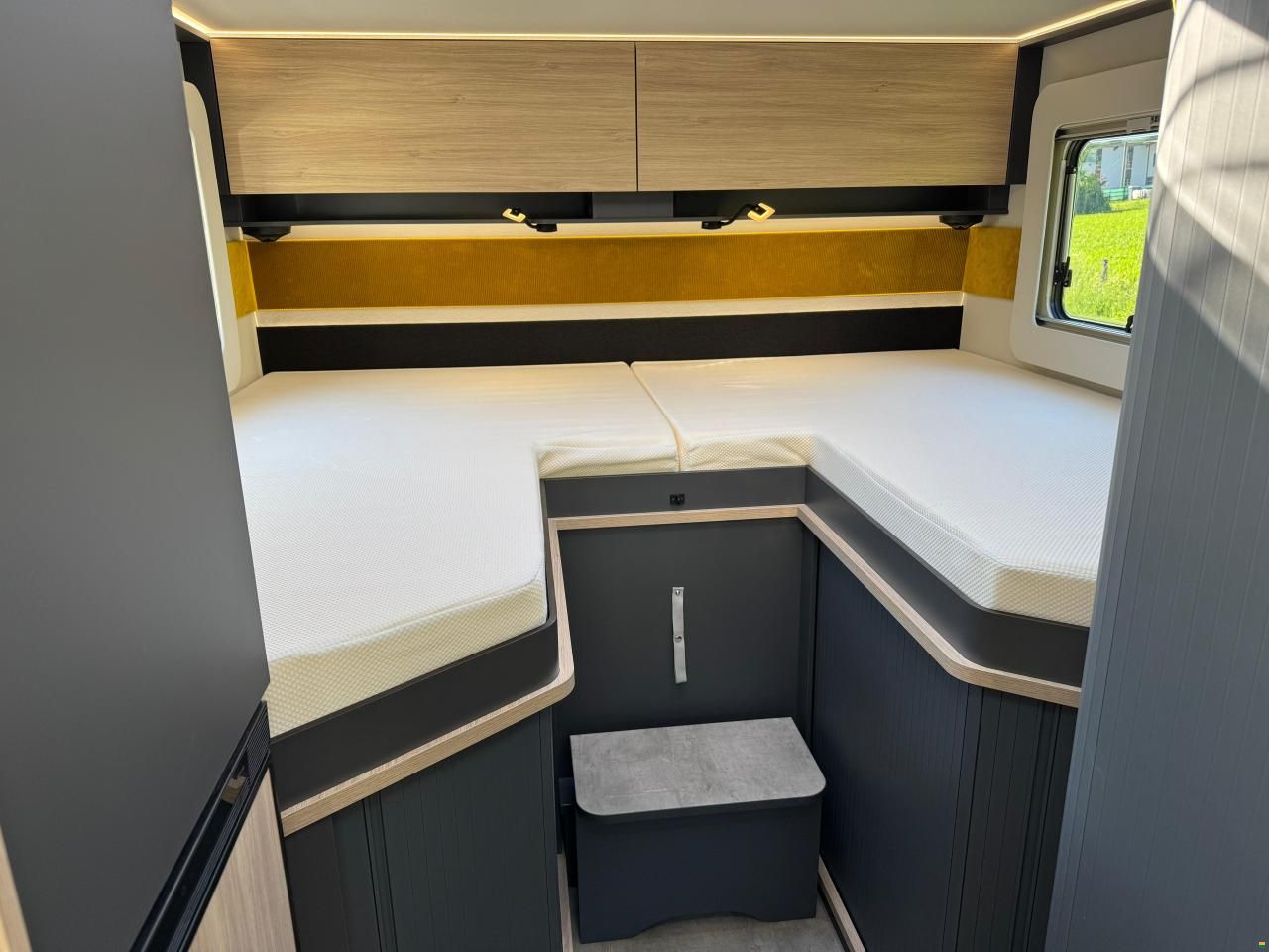 Frankia Now 7.0 L SUN