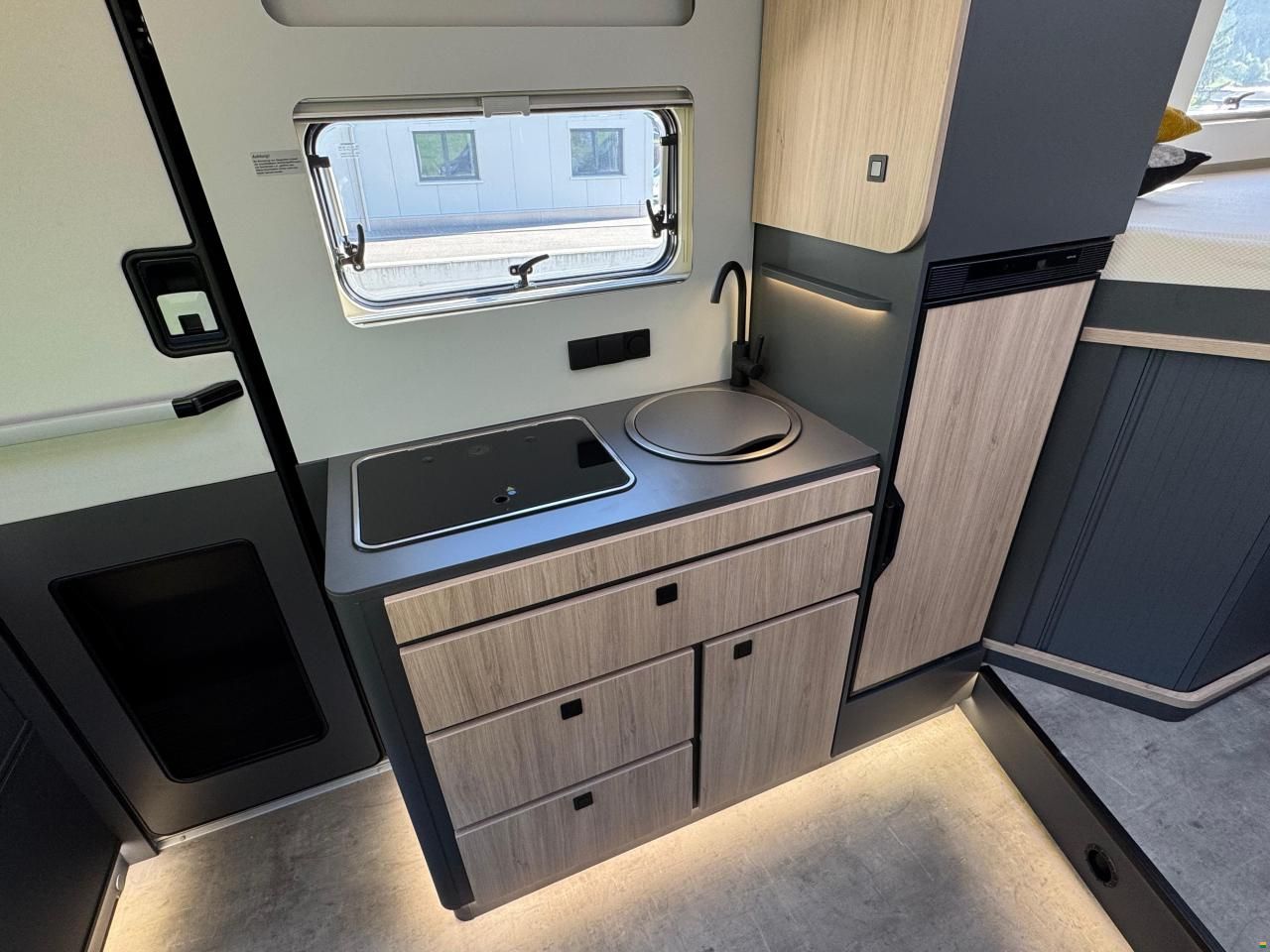 Frankia Now 7.0 L SUN