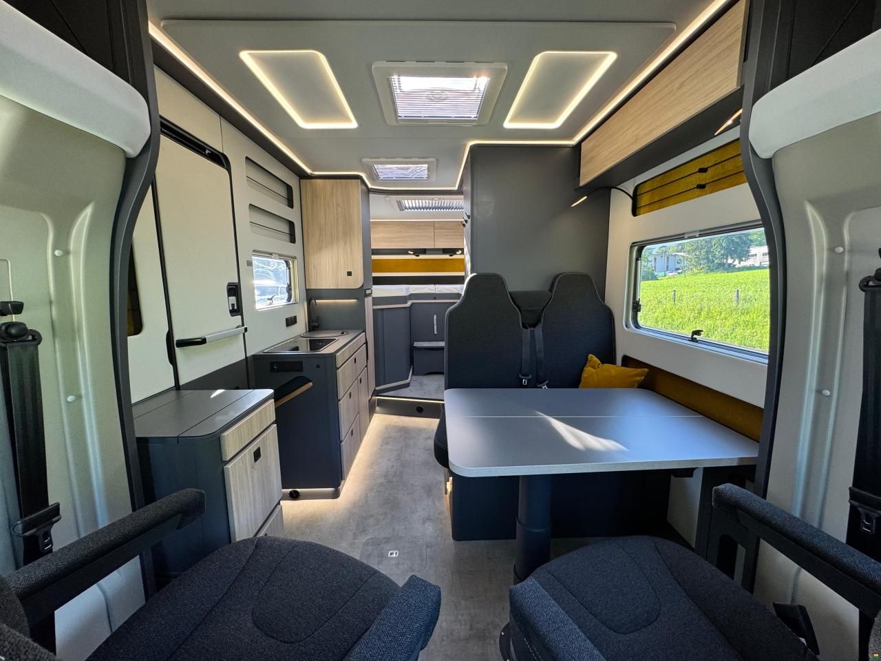 Frankia Now 7.0 L SUN