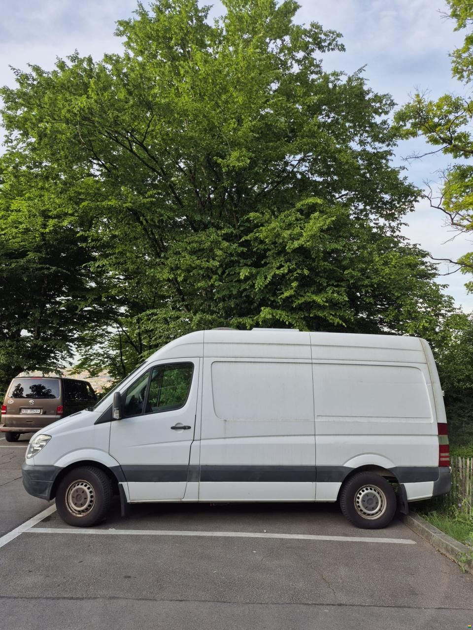 Mercedes Benz 313 CDI