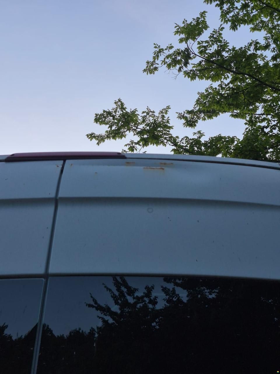 Mercedes Benz 313 CDI