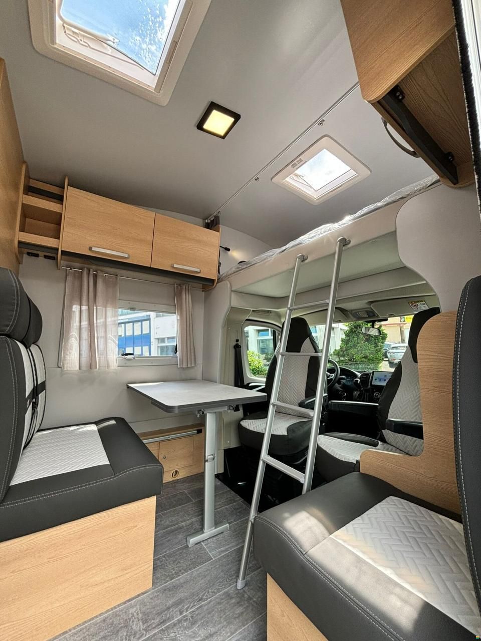 Giottiline Siena 485