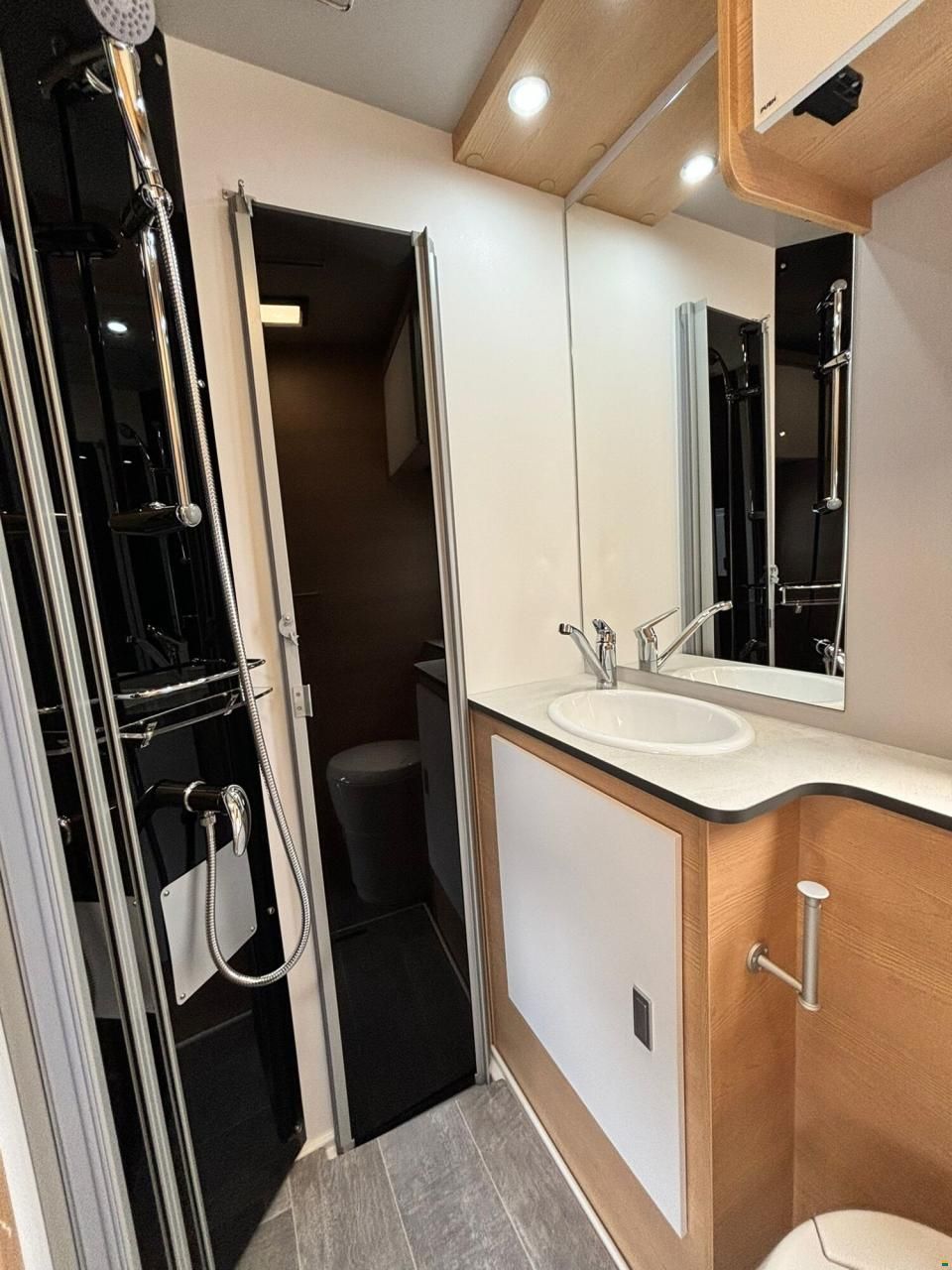 Giottiline Siena 485