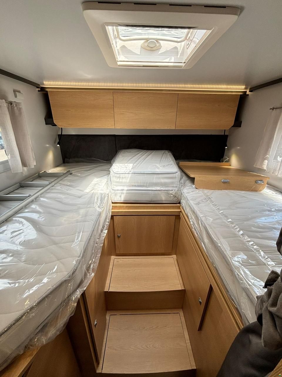 Giottiline Siena 485