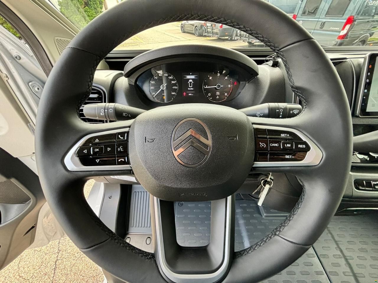 Giottiline Siena 485