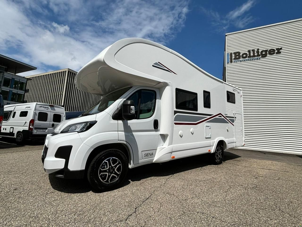 Giottiline Siena 485