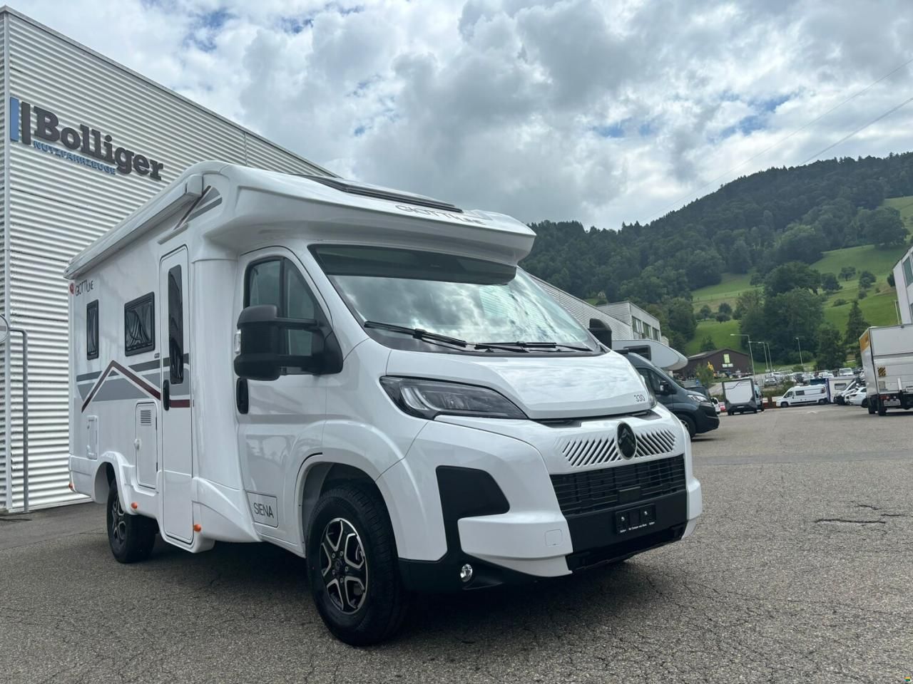 Giottiline Siena 330