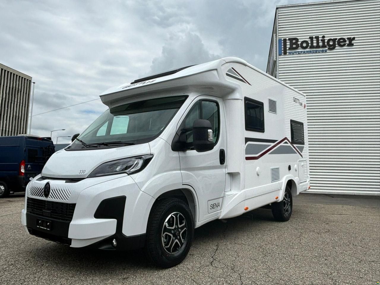 Giottiline Siena 330