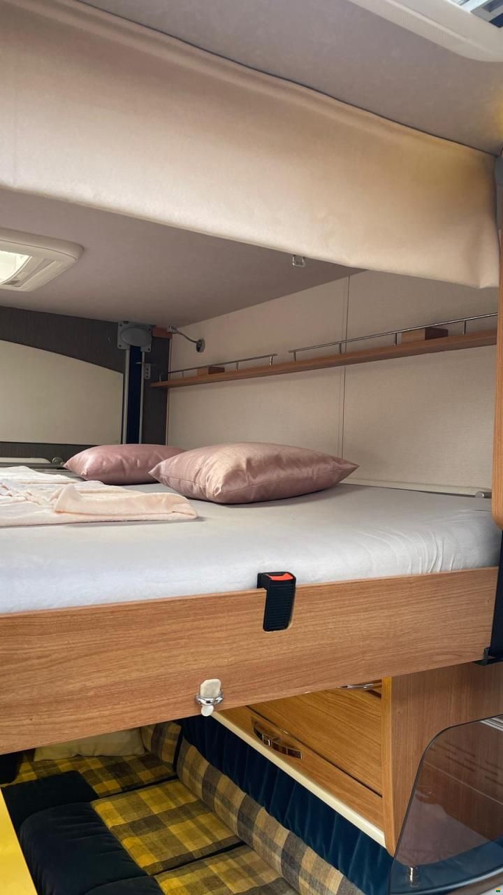Frankia Compact CL