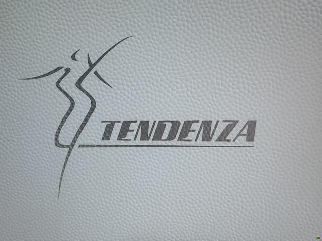 Fendt Tendenza 540 SG