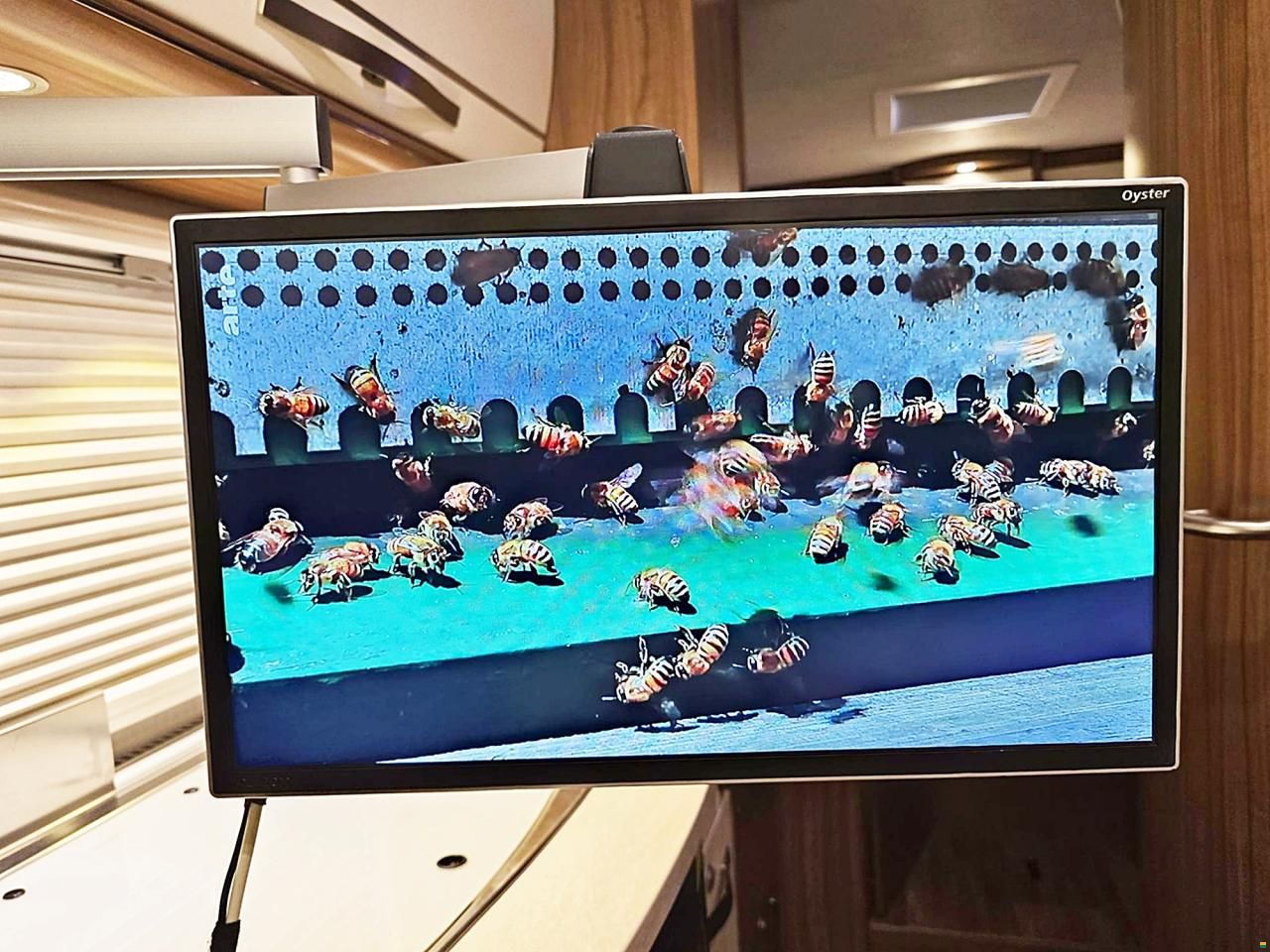 Hymer EXIS-T EX 474 2.3 MJ 150