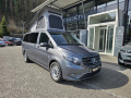 P&ouml;ssl CampstAr 116 CDi Automat Van