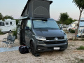 VW California Ocean Edition 4x4 Van