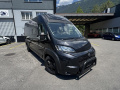 Bravia Mobil Swan 599 Kastenwagen