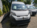 B&uuml;rstner Papillon PC 6.0 Kastenwagen