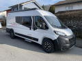 Sunlight Cliff 640 Kastenwagen