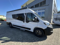 Sunlight Cliff 640 Kastenwagen