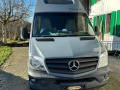 La Strada Regent L Van