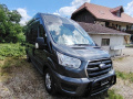 Karmann Ford Transit Kastenwagen