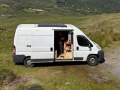 Fiat Ducato Kastenwagen